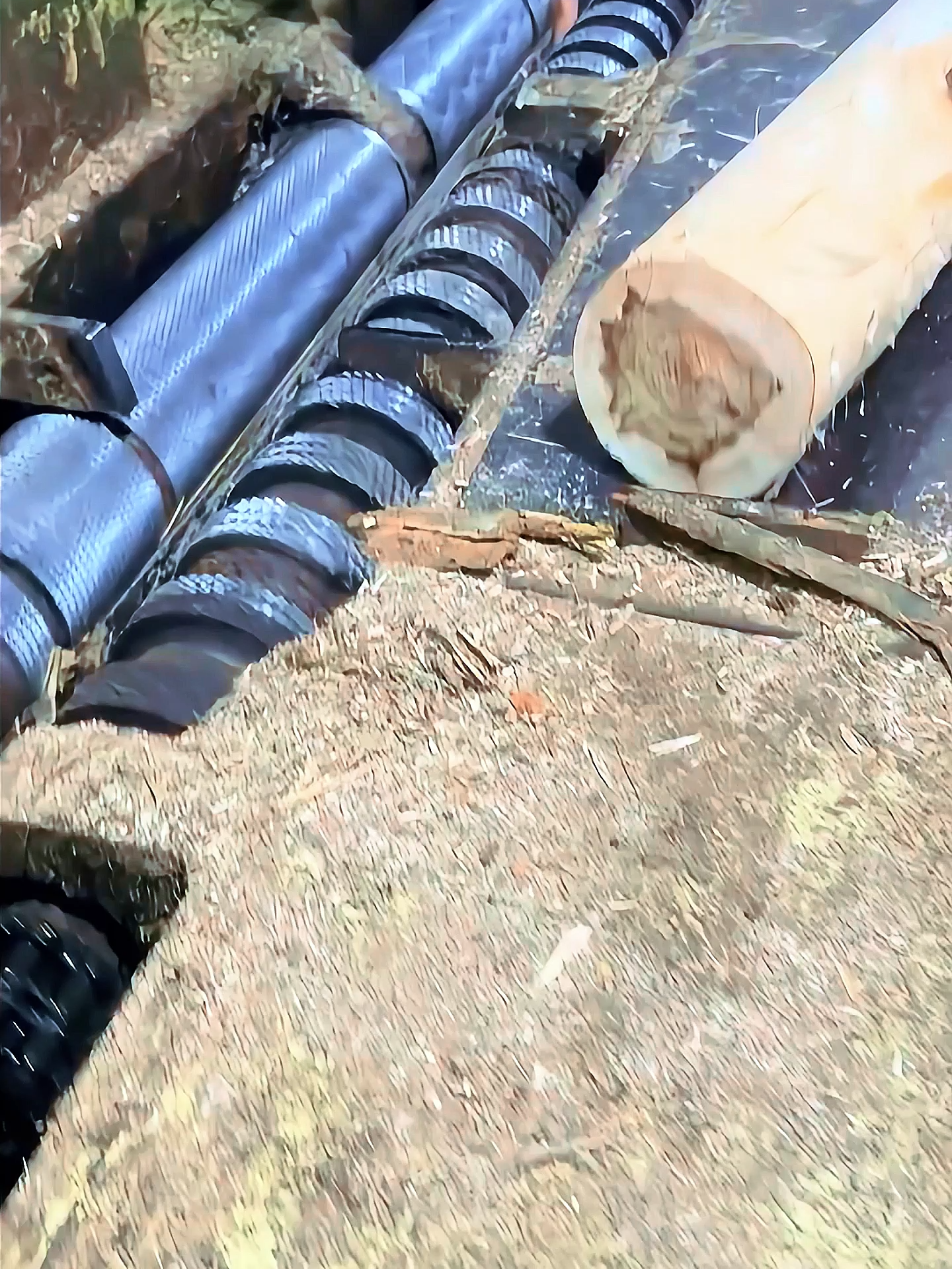Wood processing💕💕💕#woodworking #asmrwood #machine