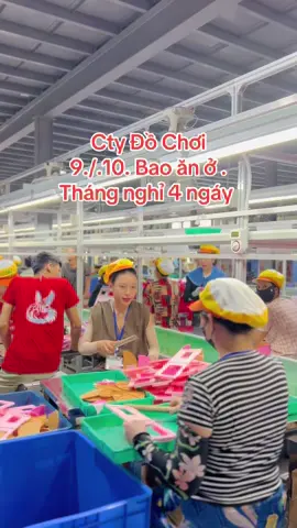 Cty Đồ Chơi . 9./.10. Bao ăn ở . Tháng nghỉ 4 ngày . #hmoob #hmoobtiktok 