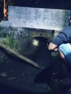 KUMPULAN BERSAMA TEMAN DUKUH JUGIL DESA NGRAKET KEC.BALONG KAB.PONOROGO JAWA TIMUR INDONESIA 🇮🇩 KAMIS. 06 JULI 2023 MALAM. ( 23 : 06 WIB - SELESAI ) #VIDEOKENANGAN2024 #PONOROGOHEBAT #MAKANSATELONTONG #KUMPULKELUARGA #KULINERPONOROGO #LINGKUNGAN #MASYARAKAT #TRADISIJAWA #ADATJAWA #BULANSURO #KOTAREOGPONOROGO #BUMIREOGPONOROGO #BUMIWENGKER #DUKUHJUGIL #DESANGRAKET #KECAMATANBALONG #KABUPATENPONOROGO  #JAWATIMUR  #INDONESIA🇮🇩  #TANAHNUSANTARA #fyp  #fyppppppppppppppppppppppp  #fypシ゚  #fypシ゚viral🖤tiktok  #fypreogponorogo🇮🇩🇮🇩  #ponorogo24jam #ponorogojalanjalan #sobatmakanindonesia #sobatkulinerjawatimur #sobatkeluargaponorogo #videoreals  #TERIMAKASIH2025 #CapCut  #CapCut