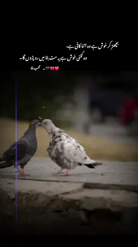 بچھڑ کر خوش ہے وہ کتنا خوش ہے یہ مت بتا میں رو پڑوں گا  #1milionaudition #aeshetic #foryou #foryoupage #trending #lines #trendingsound 
