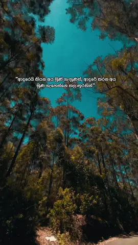 රාගය මුල් වූ generation එකක ආදරය ලැබෙනවා නම් පරිස්සම් කරගන්න.. ආදරෙයි රාගයයි දෙකම, එක තැනකින් ලැබෙන්නේ කලාතුරකින් 😇💞🥀 #viral #trending #foryou #onemillionaudition #fyppppppppppppppppppppppp #wheneverwherever #feelinglove 