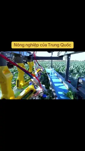 Trung Quốc đang xây dựng Chủ Nghĩa Xã Hội…Nền nông nghiệp Trung Quốc đã tự động hóa hoàn toàn! #tapcanbinh🇨🇳 #xuhuong 