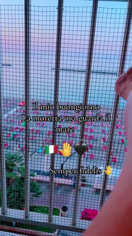 Buongiorno italiani 🇮🇹🖤🤚#maimollare👊💪💪 #indistruttibile🖤 #ribelledasempre #semperfidelis🖤🤚🖤🤚🤚🖤🤚🖤🤚🖤🤚@silviacuorenerissimo @REGINA NERA RESISTETE 🫵🖤🇮🇹 @Regina nera non molla 🖤 @Silviasmilzo82 @silviaricomincia 