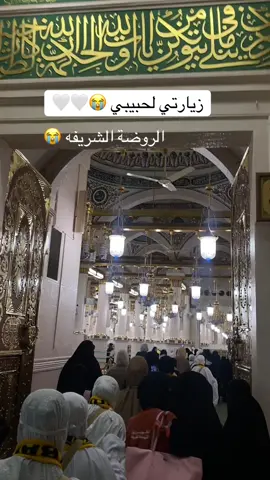 المدينة المنورة 😭🤍🤍#اكسبلور_explore #capcut #مدينه_المنوره #الروضه #قبر_الرسول #foryou #لايكات #المدينة_المنوره 