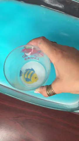 À la pêche aux poissons ! 🎣 Un bac d’eau, un verre à fond plat et c’est parti pour une exploration marine pleine de découvertes 🦀 👶 Activité à proposer aux enfants dès 2 ans. Avec @assmatchantilly #activiteenfant #assistantematernelle #maman #assmat #nounou #nounoutop