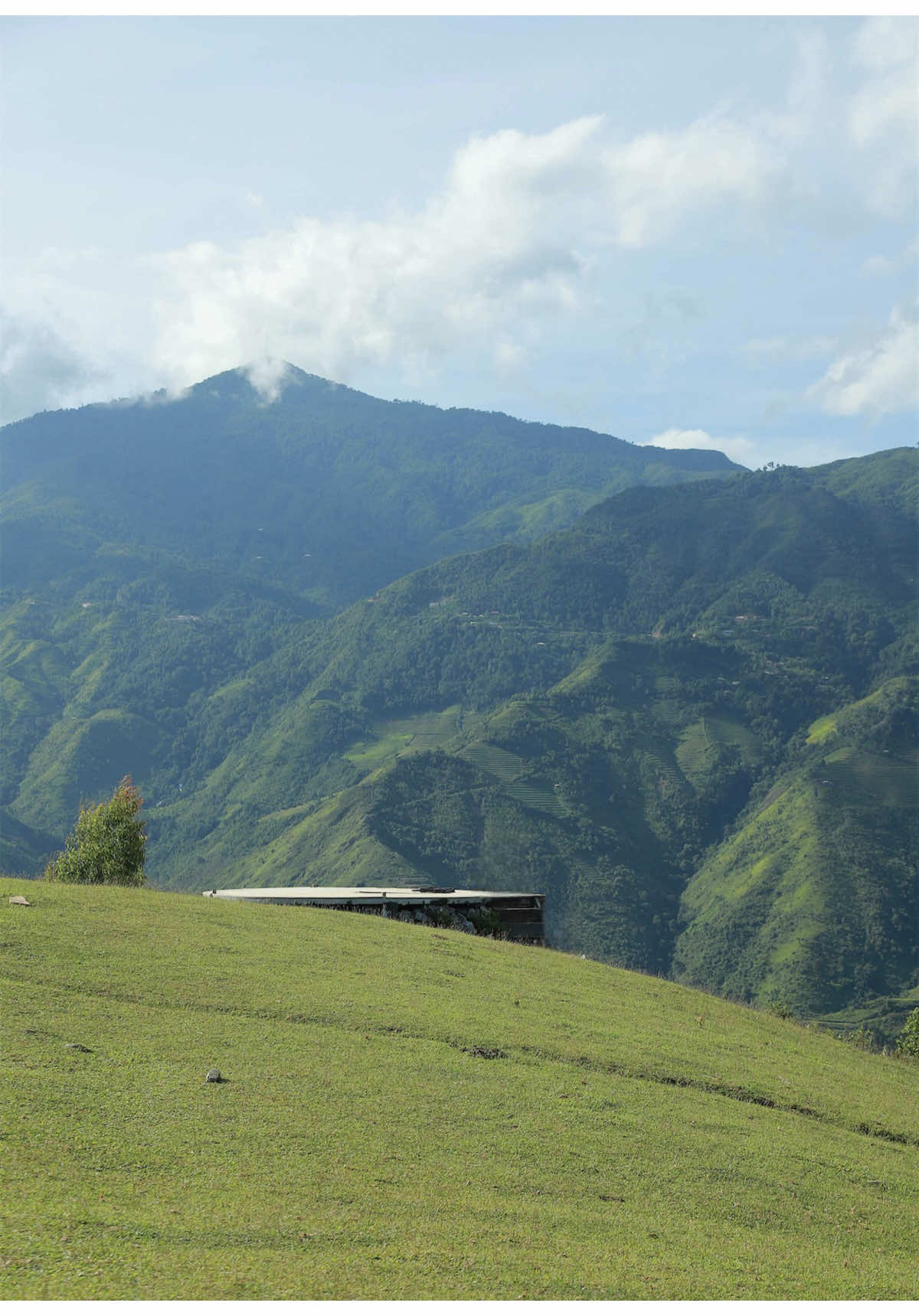 Thì ra mùa hè Tà Xùa đẹp đến vậy saoo💚⛰ #taxua #trend #checkinvietnam #14yangyang📷 