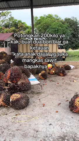 Jangan ya dek yaa #sawitontiktok #petanimuda #sawitsumatra #fypシ゚ 
