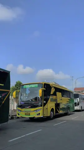Pati Dituju✈️ #busefisiensi #efisiensitransport #kuliefisiensi #jalanbarengefi #tividibus #tividitransport #busmania #pecandubusindo #busmaniacommunity #busvideo #kotapati #cilacapkekinian #busindo #zyxbca #reels #fypシ゚viral #foryoupage #fyp 