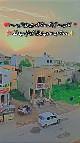 #کانٹوں سے کیا گلہ وہ تو مجبور ہیں اپنی فطرت سے درد تو تب ہوا جب پھول بھی زخم دینے لگے#haye💔 #trendingvideo 