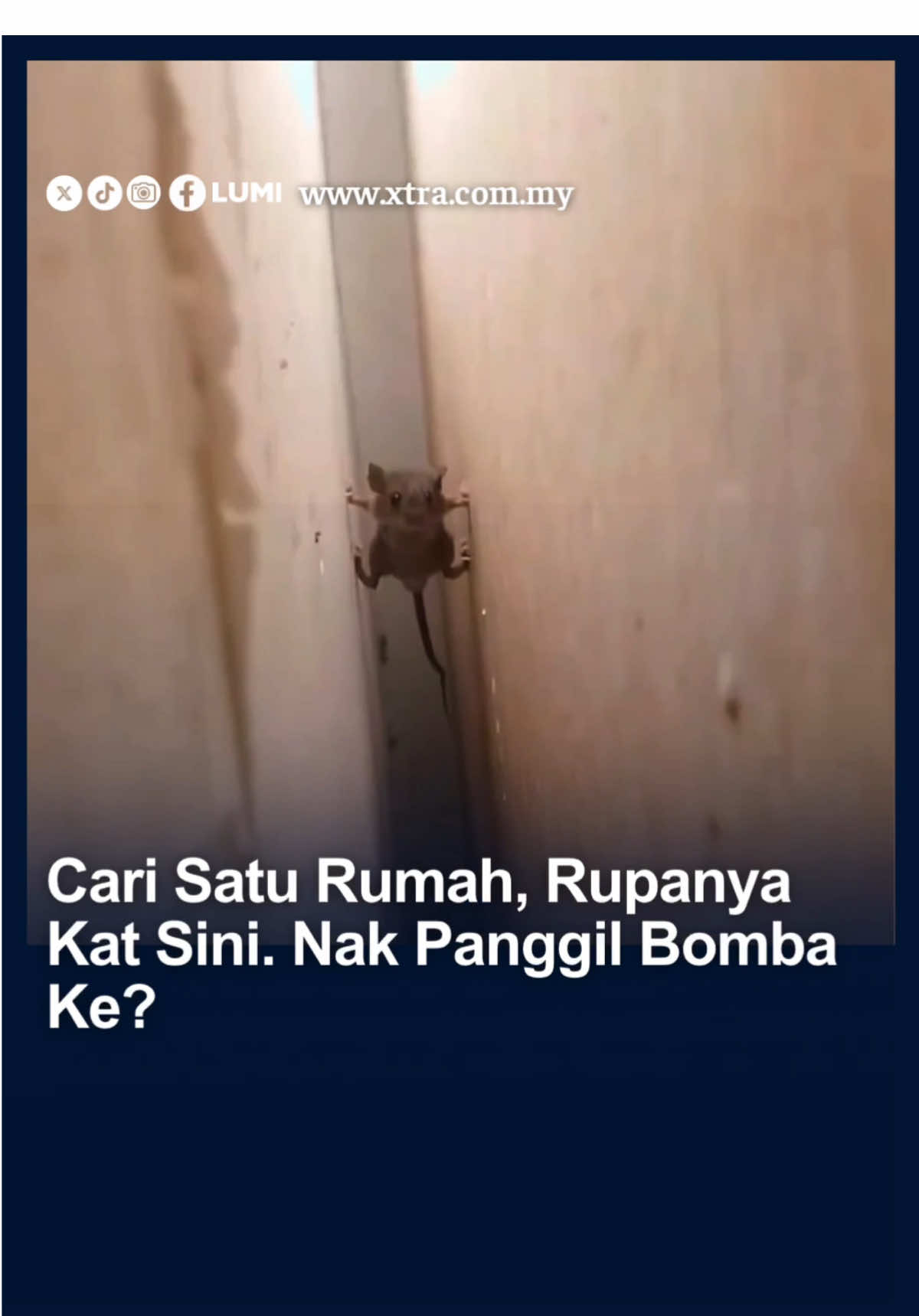 Elok je dia sembunyi kat situ ye?😂🤣 Nak call bomba ke tak Kalau macamni?😜 #fyp #xtra #tikus #sembunyi #kantoi 🎥: si bongsu