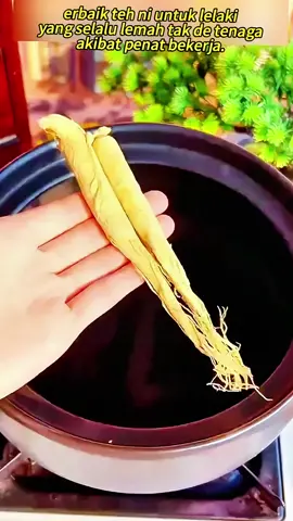 hy.Lemah tak bertenaga tak bermaya....siapa je suka badan macam ni kan.... #tehginseng #tehherbal #ginseng #tehgoji