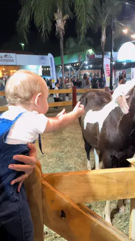 A cena mais linda que você vai ver hoje!  #exposul #fy #cavalo