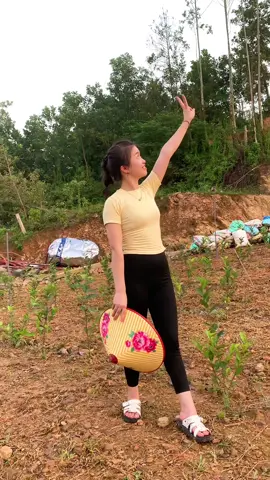 Mời anh về 20#xuhuongtiktok 