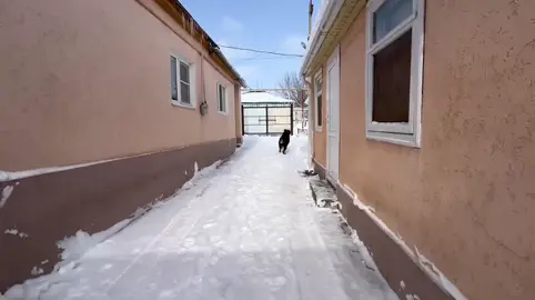 из архивчика