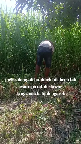 #pejuangngaritfyp 