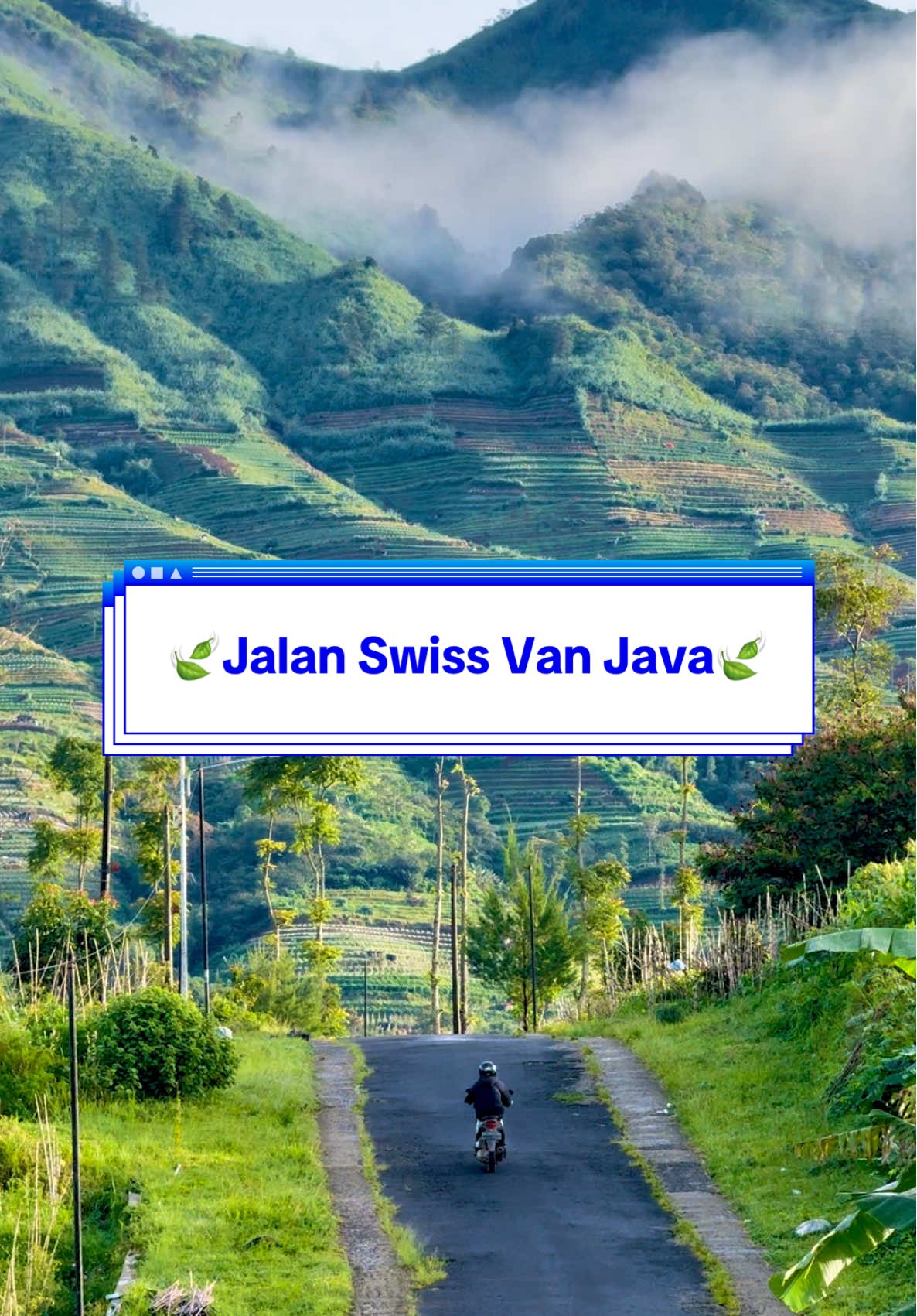 Ternyata seindah ini jalan menuju Swiss Van Java dan Curug Sikarim Wonosobo  . . . . #aestheticvibes #mettosmile #fyp @Pesona Indonesia @Wonderful Indonesia @Maul 