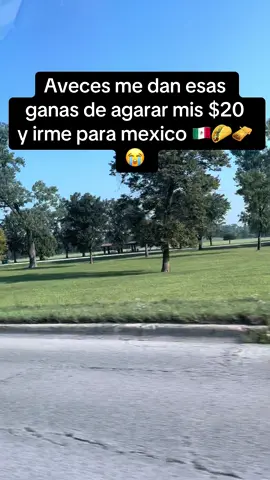 #LIVEIncentiveProgram #goviraltiktok #viralvideo #MomsofTikTok #mexico🇲🇽 #vamonosparamexico🙏💖🇲🇽 #LIVECanBeEasy #PaidPartnership 