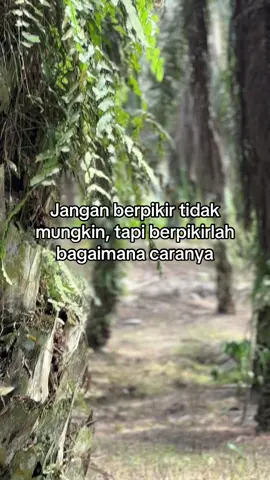 ☺️ #petanisawit #storysawit🌴🌴 #sawitontiktok #petanimuda #sawitriau #fyp 