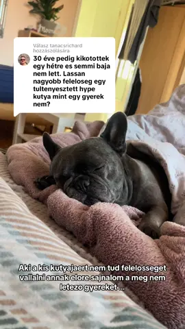 Válasz @tanacsrichard részére 