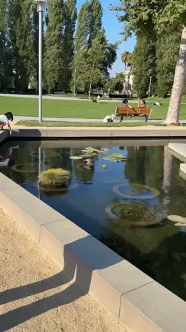 The turtle was giving Ballerinaaaa #thecollectionriverpark #oxnard 