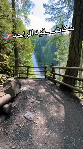 #WashingtonState #PacificNorthwest #PNWlife #usaexplorer #naturelovers #algérienauxusa #dzpower 