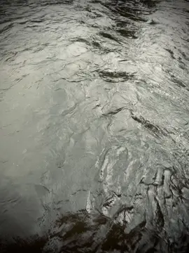 手里捧着的花，依然是大地之花。即使天地震动，你心里的那个人依然爱你 