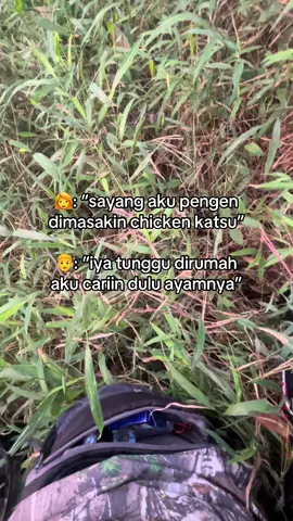 Misale🗿#ayamhutan #bedilerindonesia🇮🇩 #ayamhutanhijau #ayamhutanjawa #fypシ゚ 