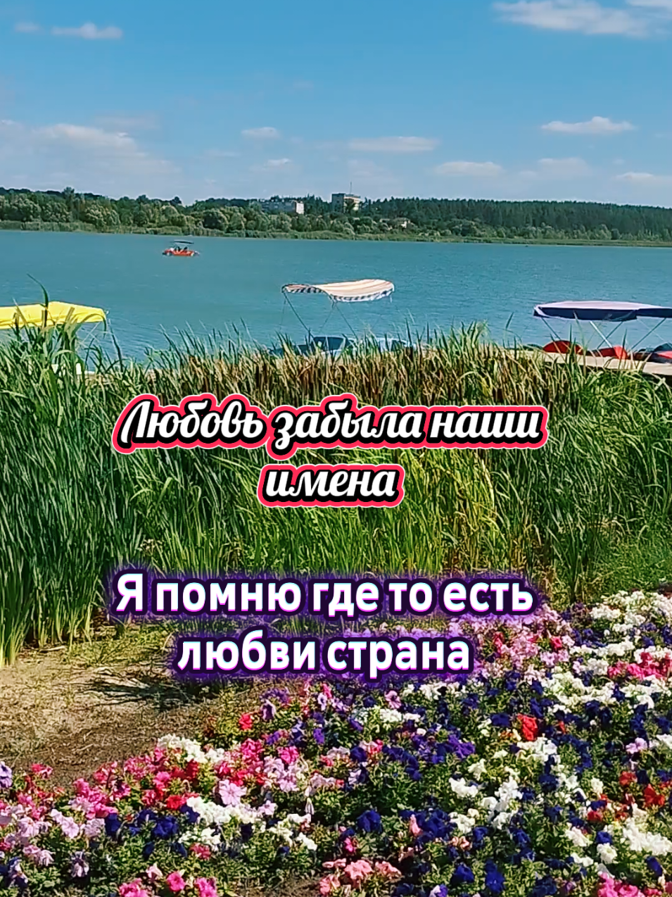 🎉🎉🎉 #врекомендациях 