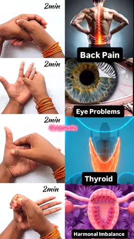 daily Mudra @Long Short Trader #fyp #mudra #handmudra #dailyhandmudra #foryou #Viral 