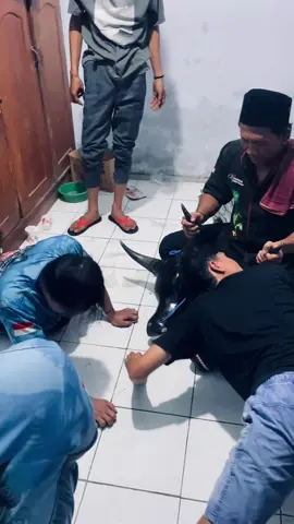 Maem ados budal banteng  nguwamok temen 😂 #eyangenggohjoyo #bantengnuswantara 