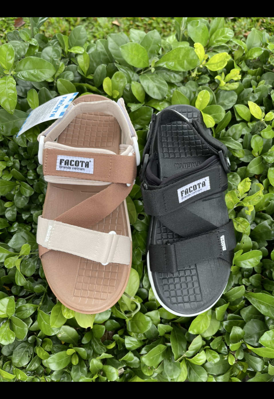 Giày sandal nam & nữ có 2 màu, quai dù xé dán siêu nhẹ, bền - đế chống trơn #xhtiktok #tiktok #vairal #giaydepxuannhin 
