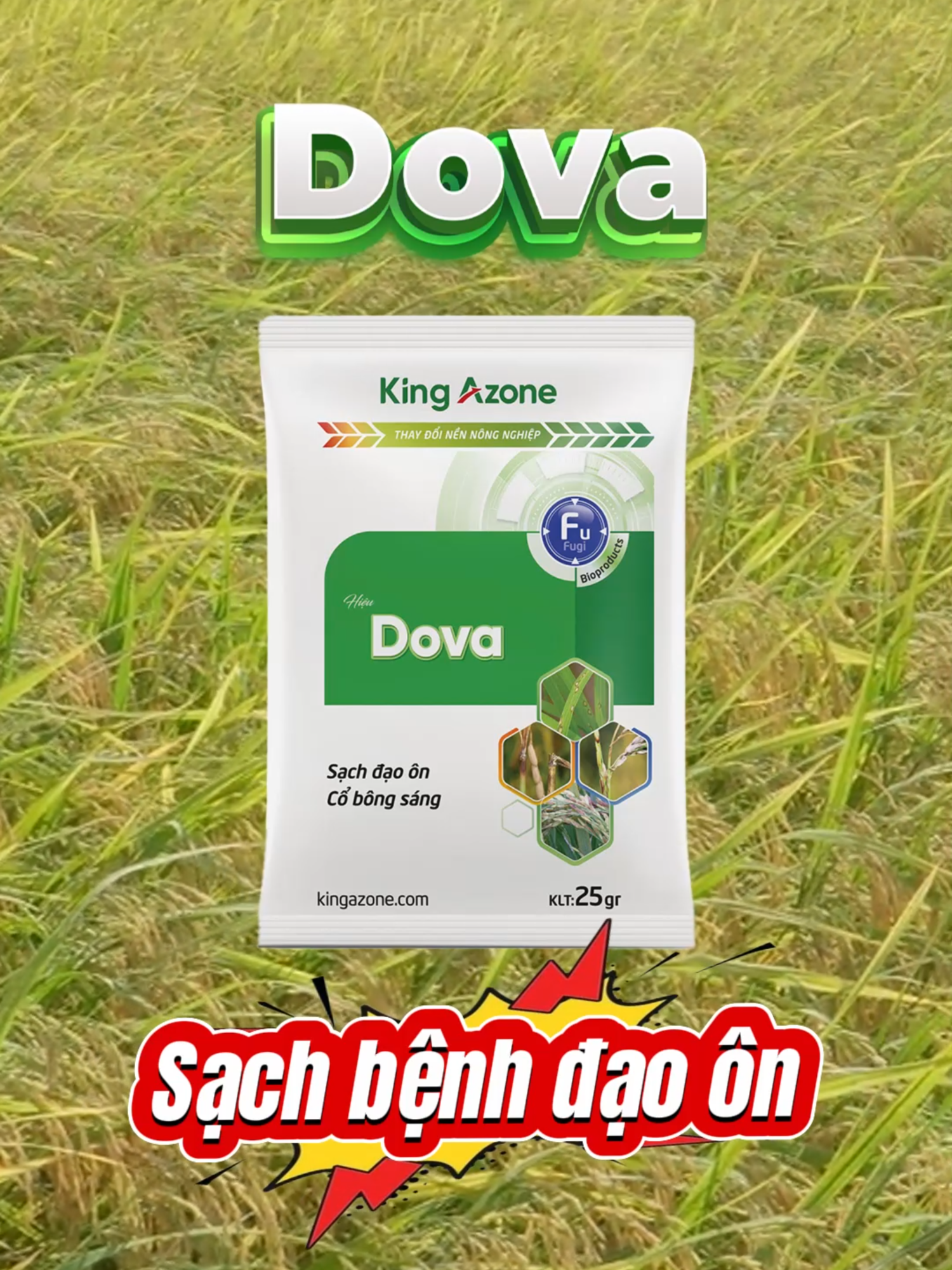 DOVA – Giải pháp hỗ trợ trị đạo ôn, vàng lá, lem lép hạt cho lúa #luakhoemanh #nongnghiepsach #KingAzone #DOVA #xuhuong