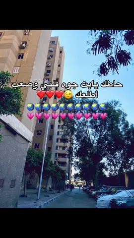 #💗🌏️🔐 #fyyyyyyyyyyyyyyyyyyy #foryou #fypシ #اكسبلورexplore 