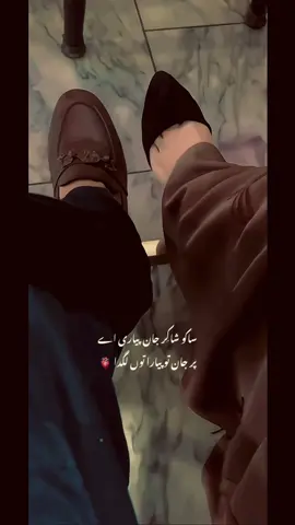 Jan to piyara to lagda 🫀🍂#trending #contentcreator #foryoupageofficiall #foryoupageofficiall #fyp #trending 