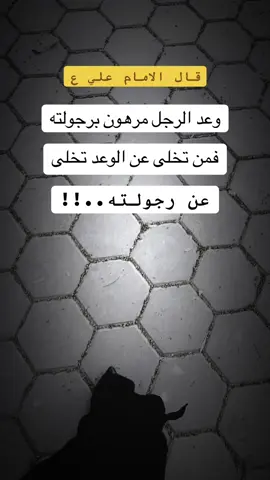 #مقولات#علي_بن_ابي_طالب #بنات#بنات#متابعه_ولايك_واكسبلور_احبكم #💔🥀 #
