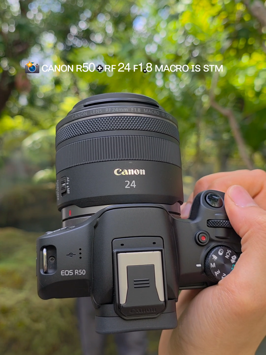 รีวิว 📸 ᴄᴀɴᴏɴ ʀ𝟧𝟢 + ʀꜰ 𝟤𝟦 ꜰ𝟣.𝟪 ᴍᴀᴄʀᴏ ɪꜱ ꜱᴛᴍ #canonr50  #canonrf24f18  #azizcamera  #ร้านกล้องอะซิส  #azizcamera2hand 