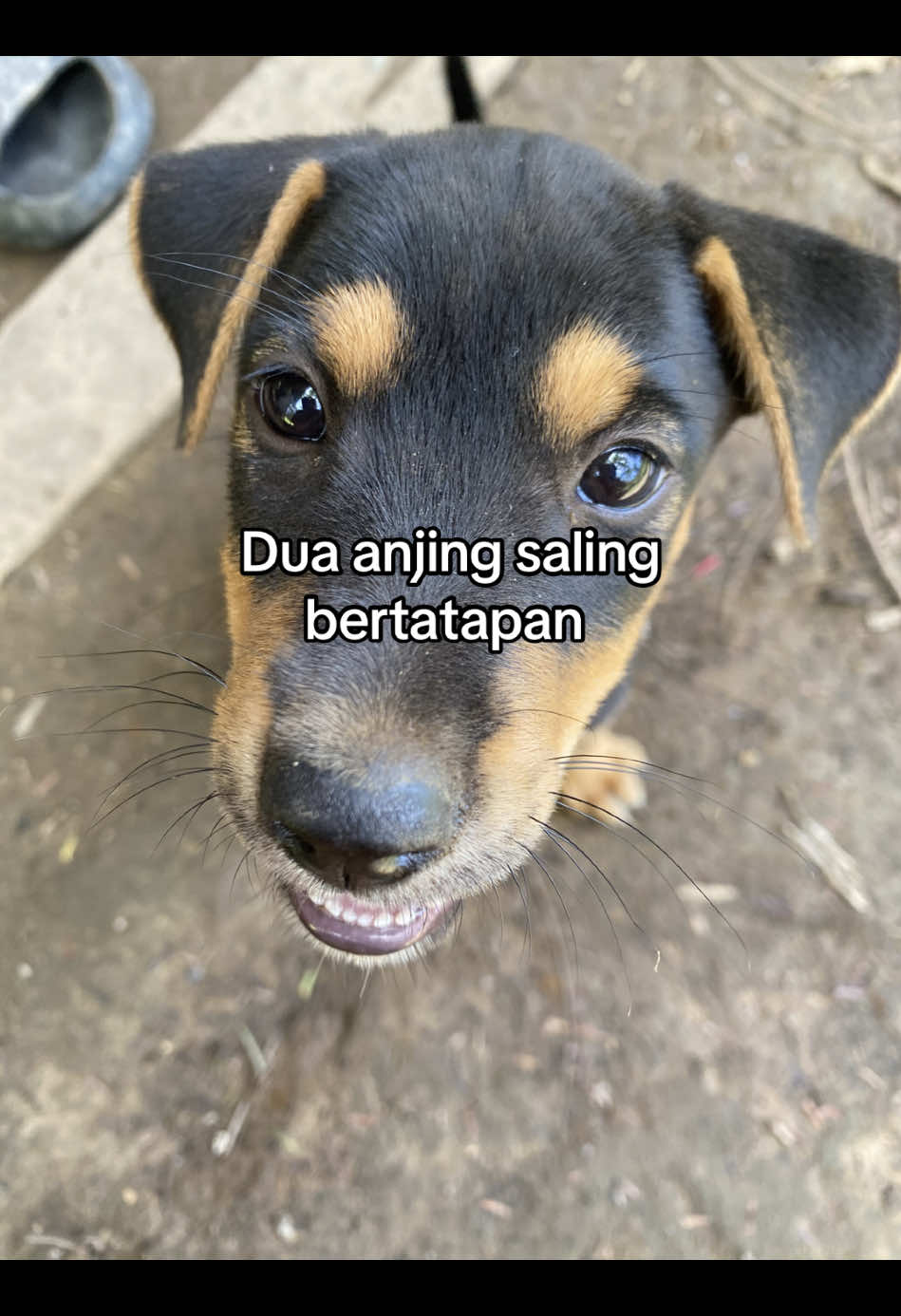 #fypシ゚ #sabahancrew_fams #foryoupage #4u #sabahancrew_fams #tiktoksabahan #xybca #jzandora 