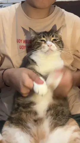 😸: dc nya nagih woyy #xyzbcafypシ #xyzabc #xyzbca #kucing #kucinggemoy #kucinglucu #kucingviral #catsoftiktok #kucingindonesia #fypシ゚ #fypage #foryoupage #foryou #cat #cutecatsoftiktok #velocity #velocityedit #dance #challenge #dancechallenge #dancetutor #dctiktok #kucingvelocity 