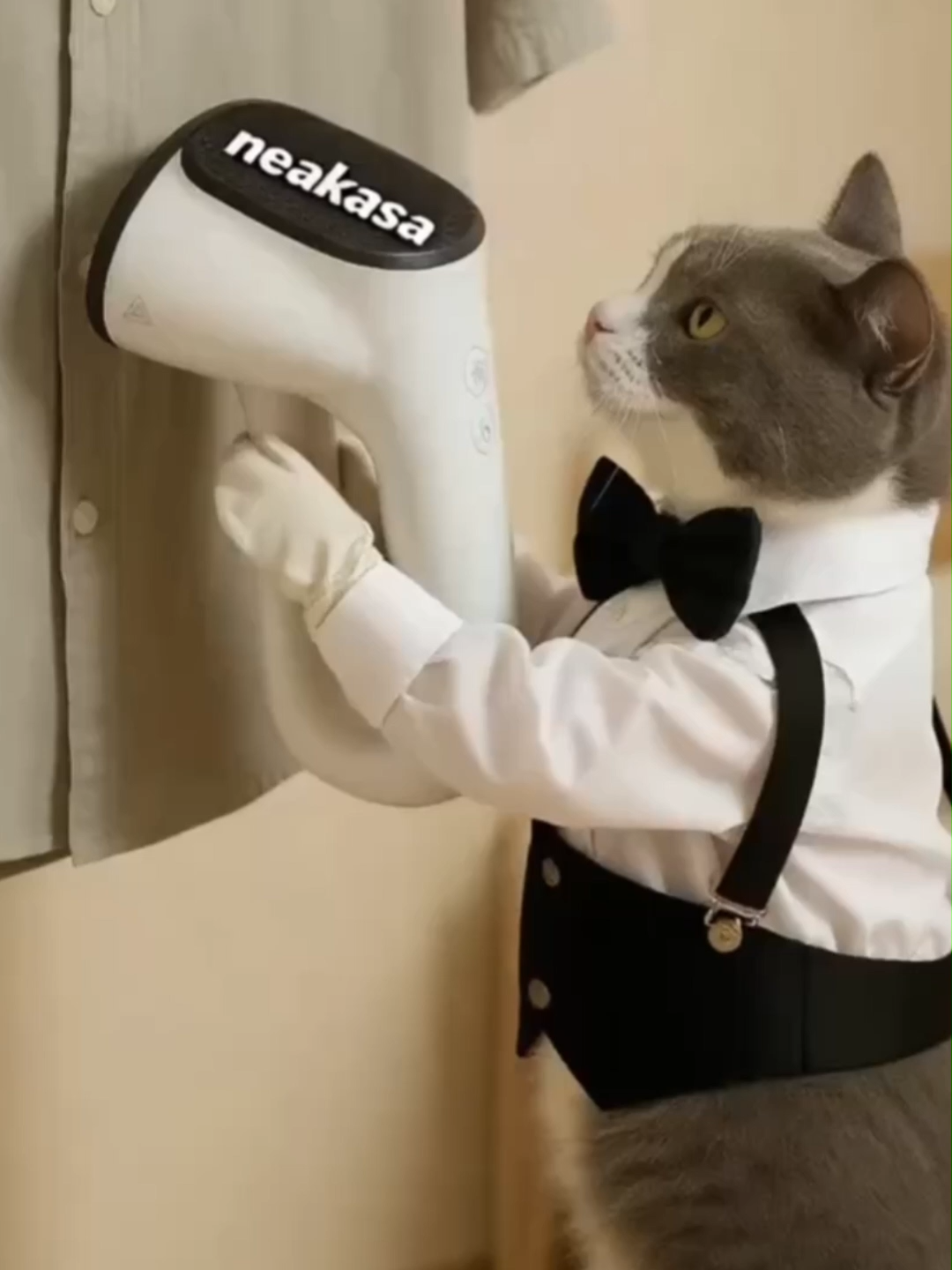 Imagine a butler cat ironing your clothes—you’d be out the door in minutes every morning! (With Magic1 Vacuum Steamer, it’s actually that easy!)#NeakasaMagic1 #VacuumSteamer #VacuumIron #clothescare #houseoftiktok #NeakasaDandan #cat #aifun