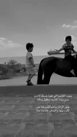 #خيل #خيل_وخياله🐎 #خيول #اكسبلورexplore 