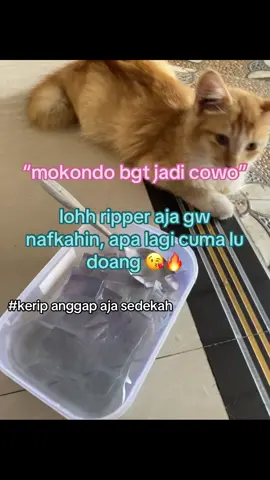 sedekah ke orang yang membutuhkan 😜🥵#anakjbnibos#katakata#fotolive#hd#storyanakjb 