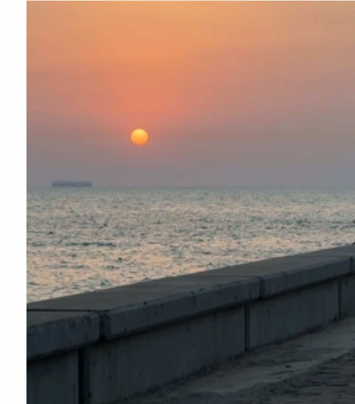 #fyp #explore #ff_lover #foryou #هواجيس #قصايد #شروق_الشمس 