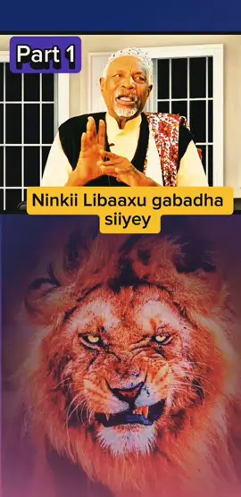 Ninkii Libaax gabadha la ritay  Abwaan Muuse Cali Faruur  #fyp  #foryoupage  #foryou 