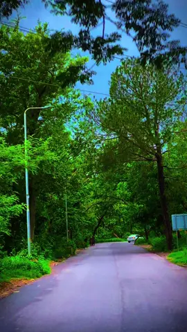 Sayaira mai Sayaira🥺✨ #foryourpages #tiktokoficial #foryou #islamabad #islamabadian #foryourpage #tiktokpakistan #naturalbeauty #rainyday #nabi 