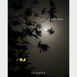 Sarmad_Sindhi 🥺🥀 Reach Down 😢😳 #sindhisong #trendingvideo #viralvideo #unfreeze #grow #tiktokpakistan #foryou #fypシ 