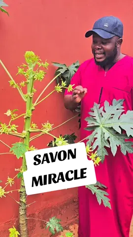 #spirituality #meditation #grossesse #CapCut #lecondevevie #pleineconscience @Axel Merryl @Emma’a 🇬🇦x🇨🇲 @Eliakim Gerard 🥰 @jacques para120🇧🇯🇫🇷 
