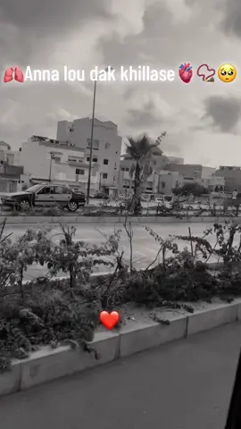 #viraltiktok 