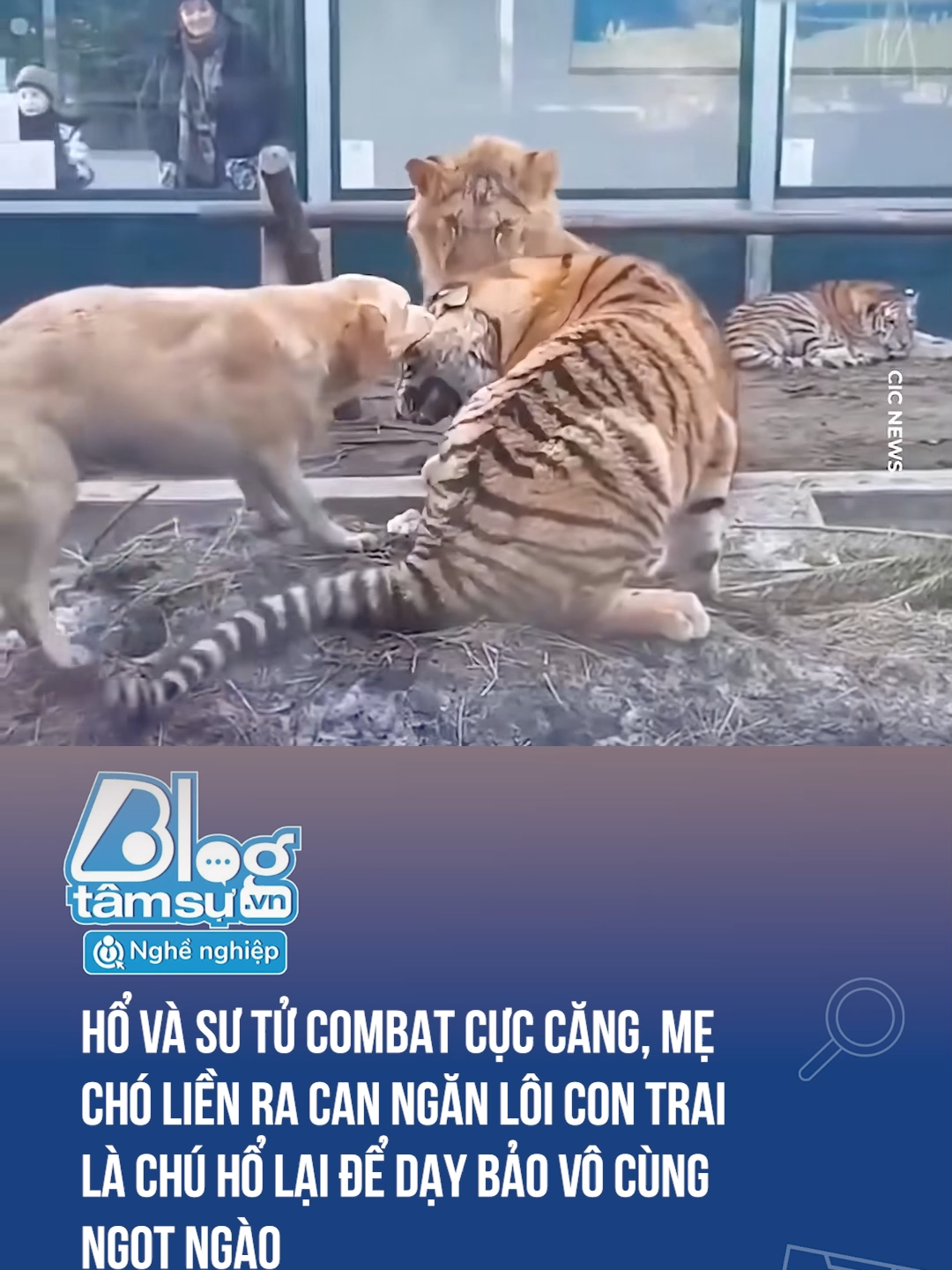 Con dù lớn vẫn là con của mẹ, nghe lời ghê #discovery #blogtamsu #xuhuong #btsmedia #funfact #tiktoknews #viral #funny #haihuoc #dangyeu #cho #ho