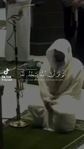 #muslimtiktok #islam #allah #quranrecitation 