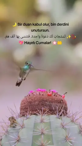 #hayırlıcumalar🌹🌺🌺🌷💖 